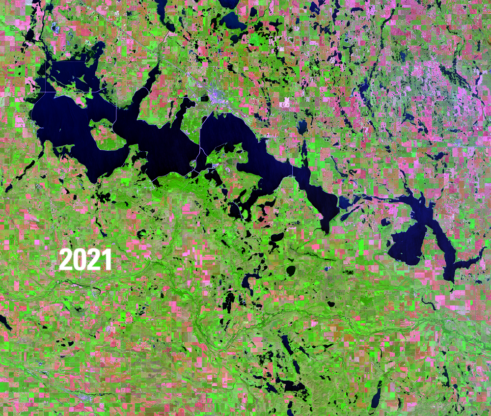 Satellite image showing water bodies in deep blue, green vegetation and pink barren areas