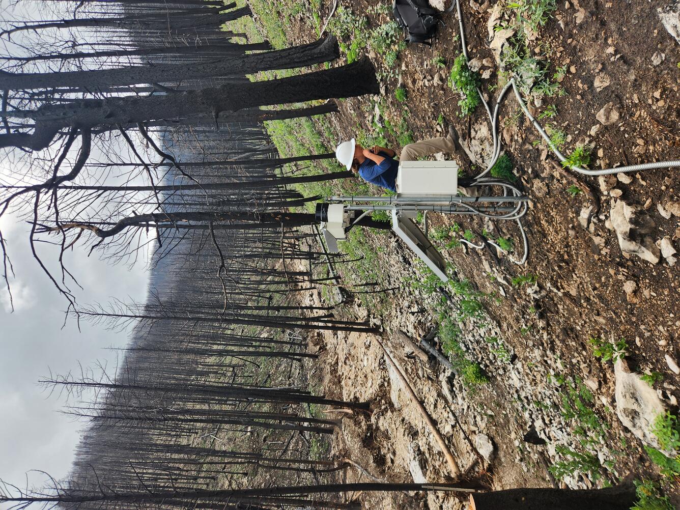 equipment on hillslope above a channel with burned trees visible in the watershed