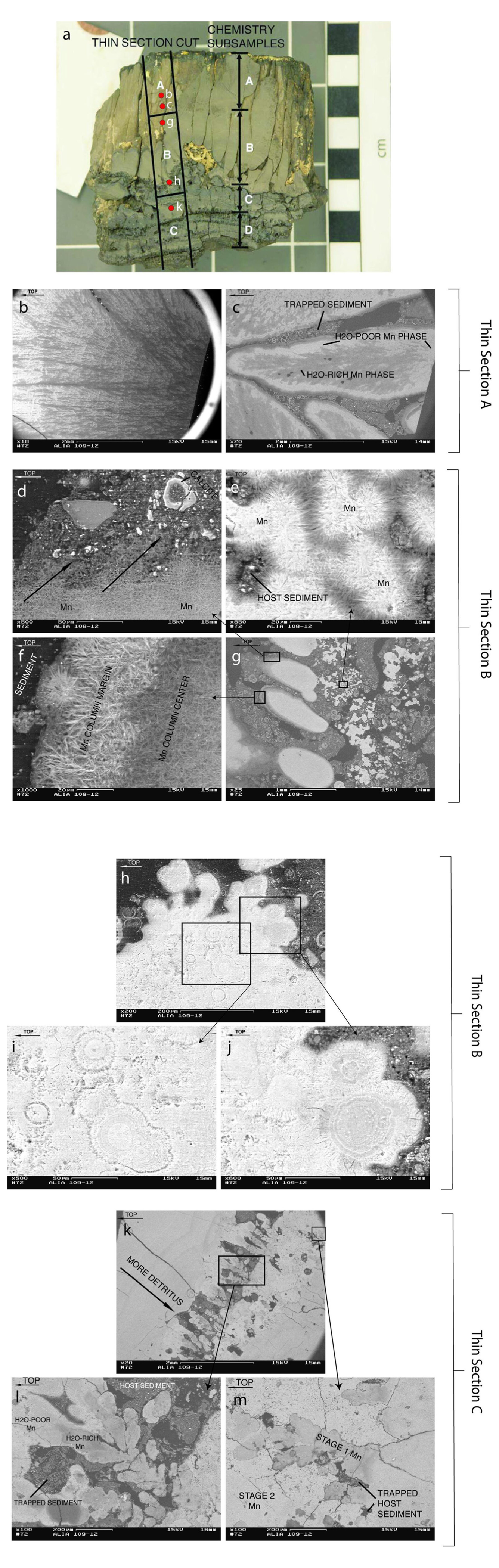A stratigraphic scanning electron microscope tour showing the evolution of manganese-oxide mineralization of host sediment