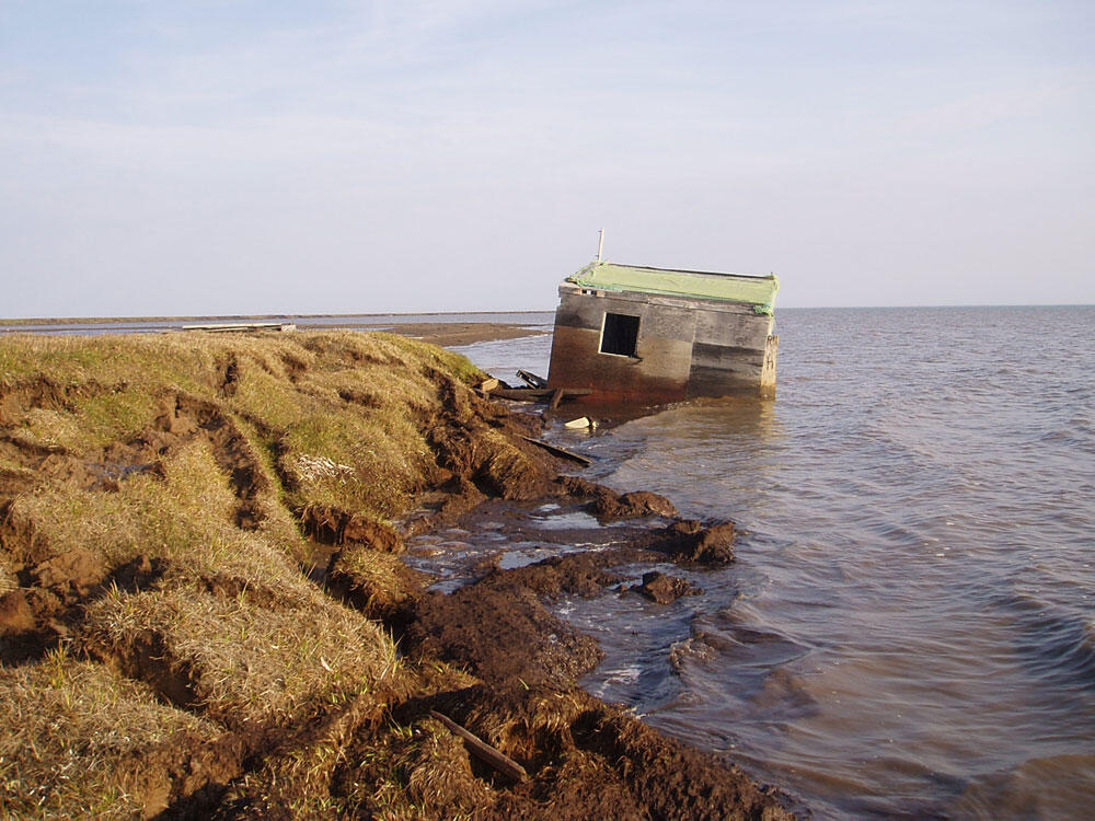 A small cabin with a window rests askew in the water along a muddy coastal bluff that is eroding into the water.