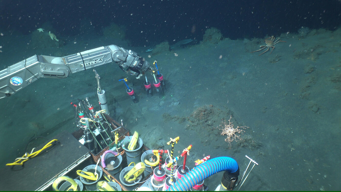 An underwater view from the submersible Alvin showing the manipulator arm picking up sediment cores from the seafloor. Mud and some deep-sea animals including sea stars are visible.