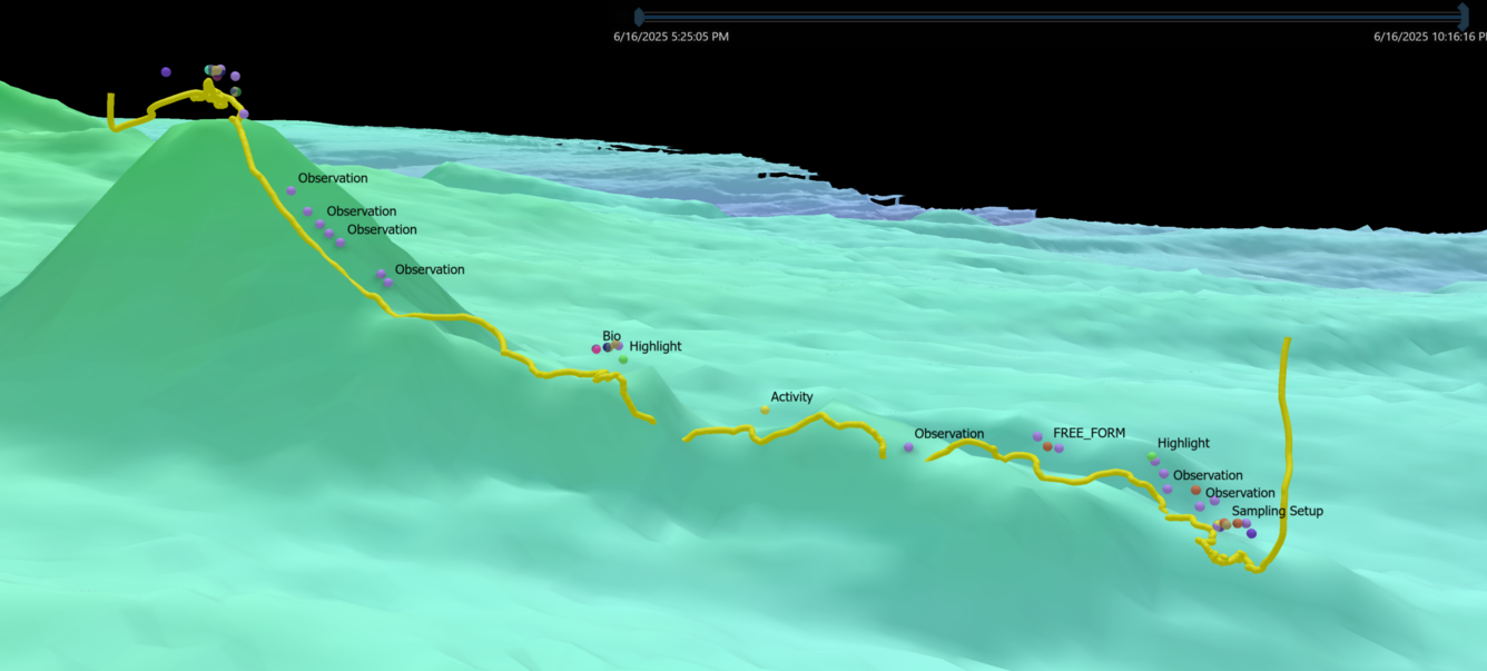 Map of underwater volcano with a track showing where the submersible traveled