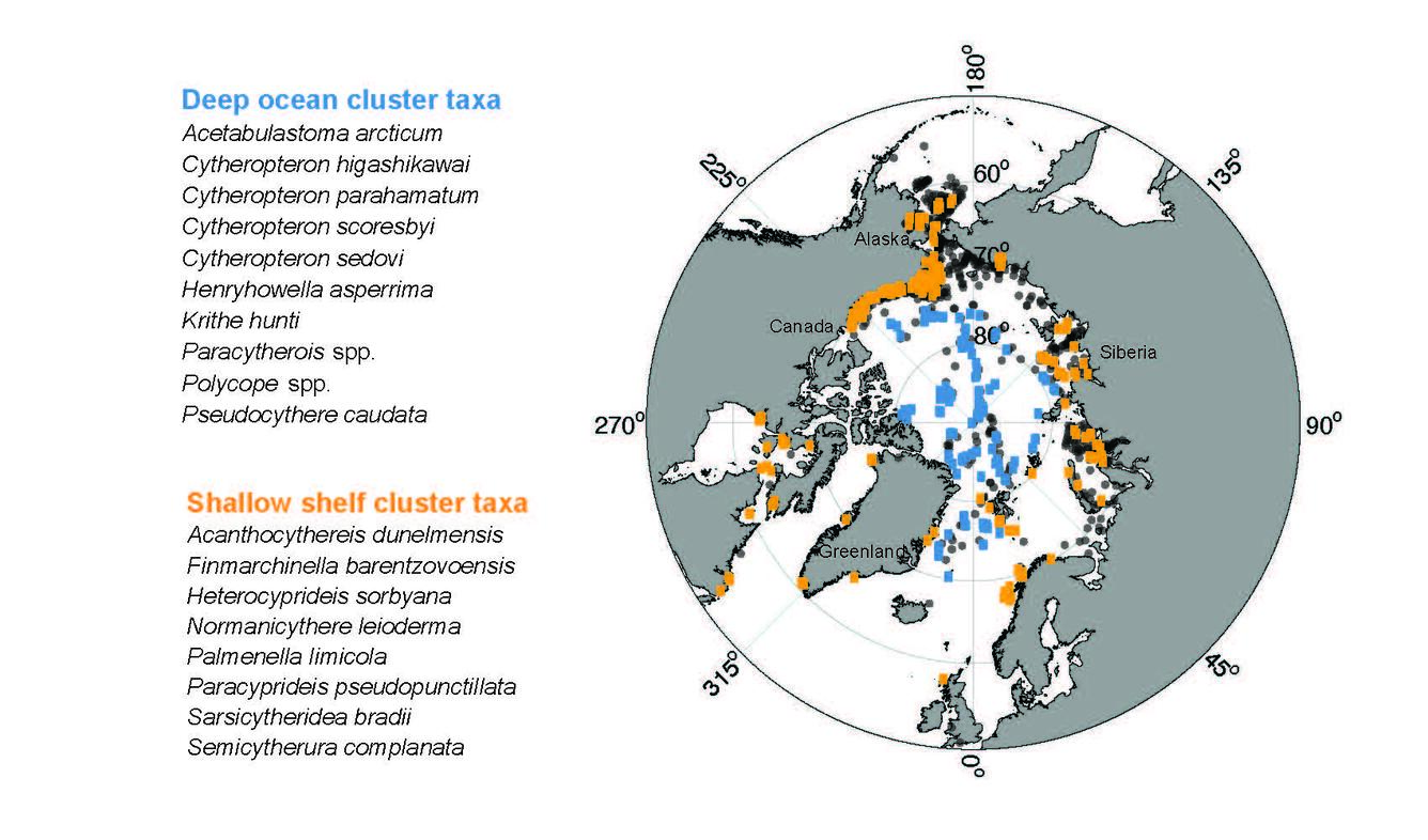 map showing distribution of ostracode species in Arctic Ostracode Database across Arctic Ocean