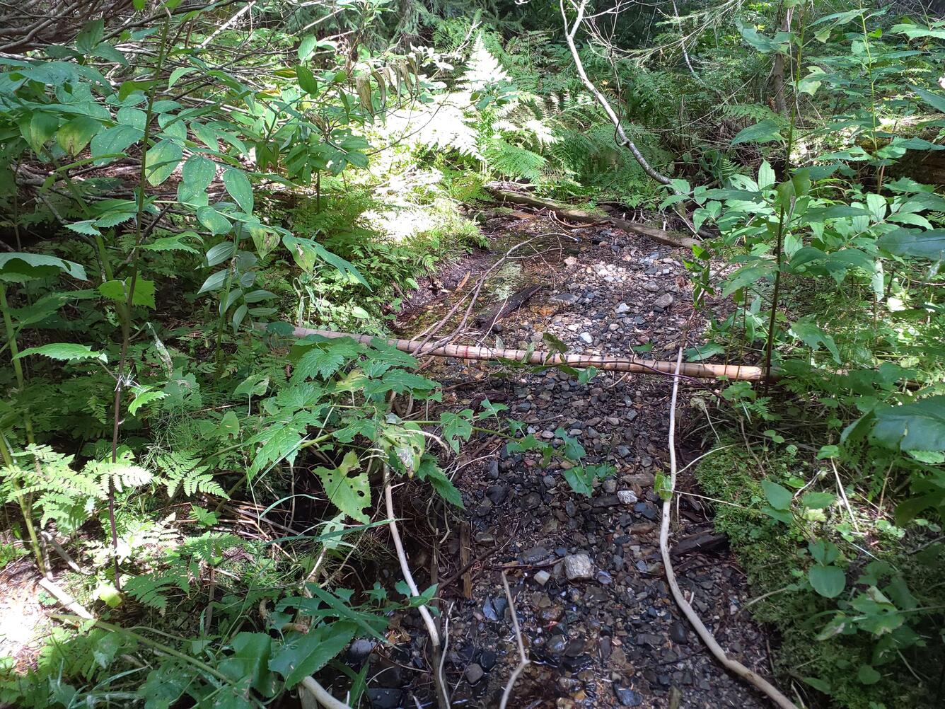 Updated classifications of flow permanence on streams in the Colville National Forest