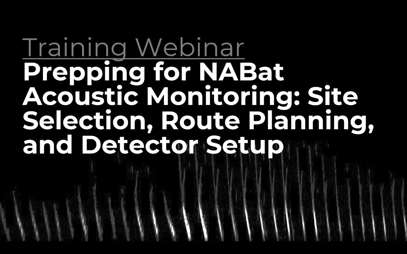 Black background with text "Prepping for NABat Acoustic Monitoring: Site Selection, Route Planning, and Detector Setup.