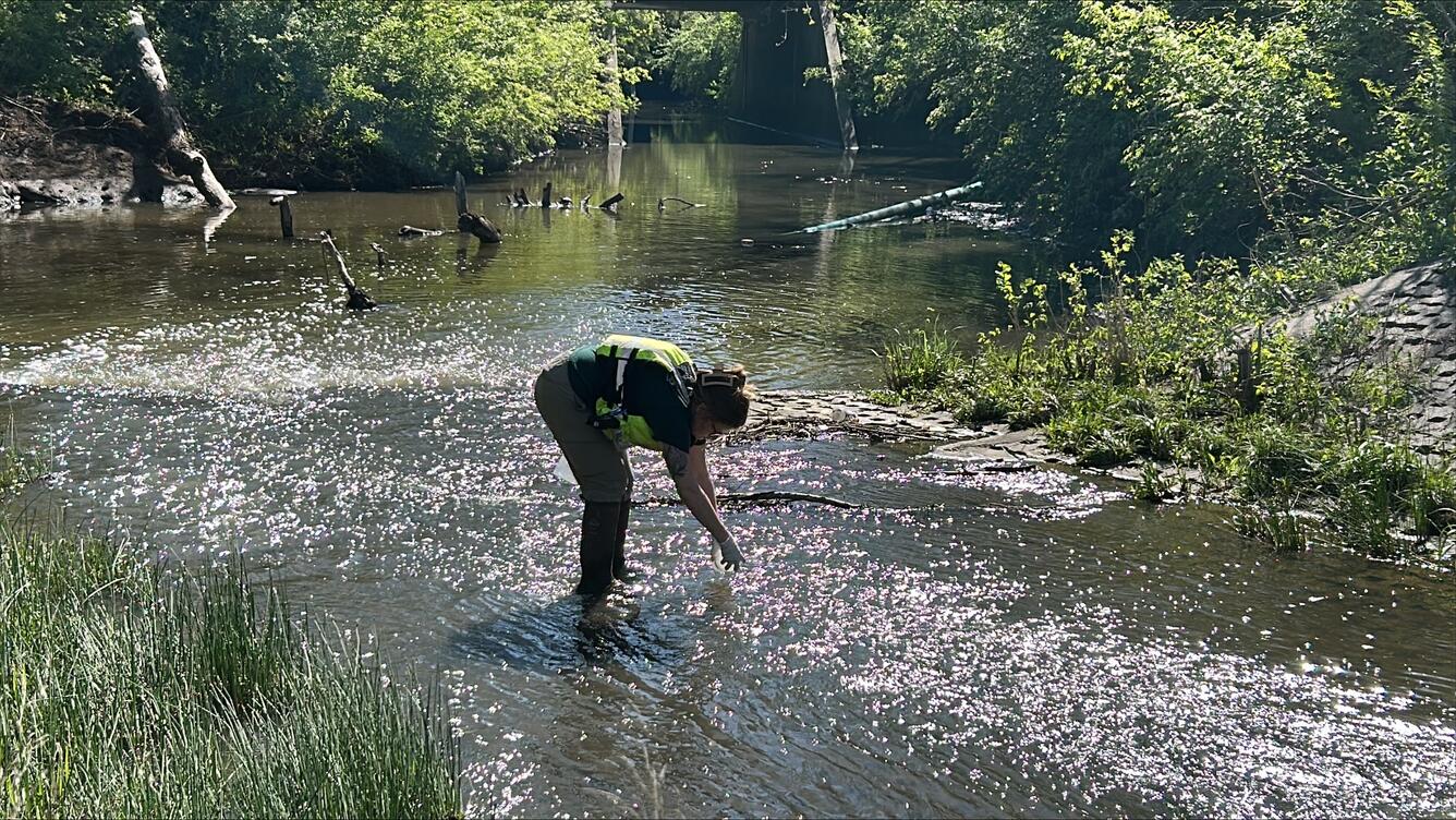 Hydrologic technician collects a water-quality sample from a creek