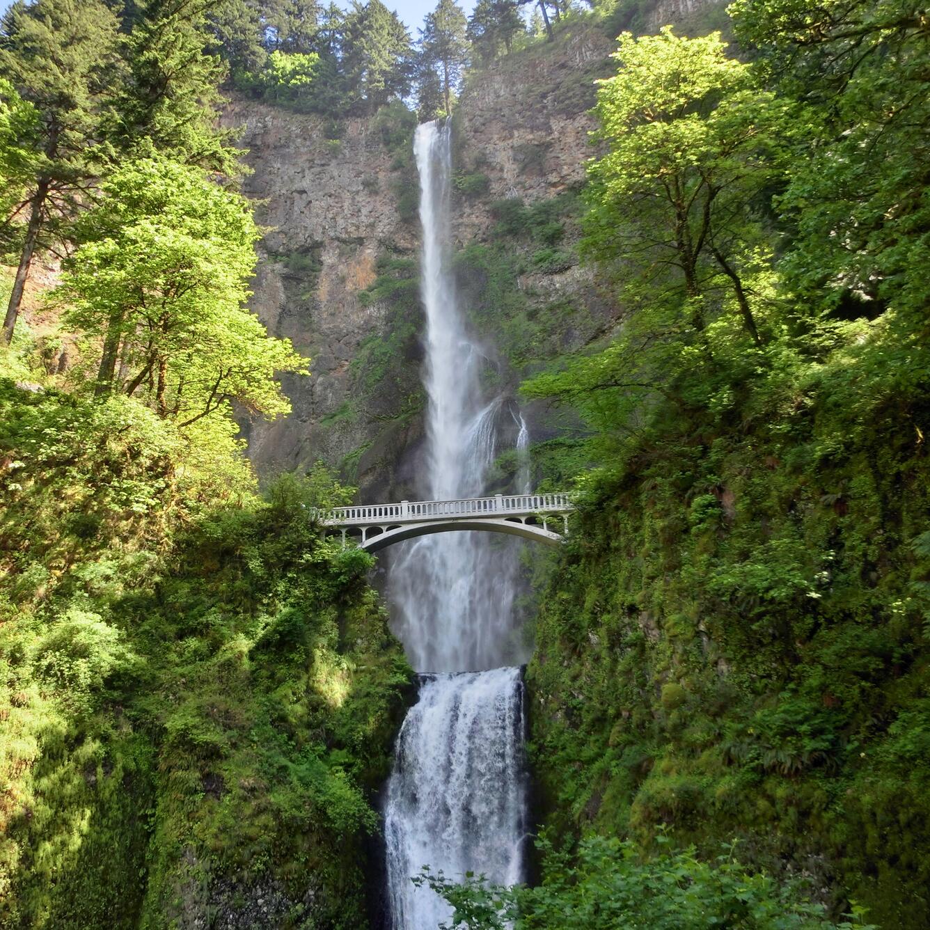 two tiered cascading water fall plunges over grey basalt walls. Stone bridge walkway in center. sunlit trees line each side