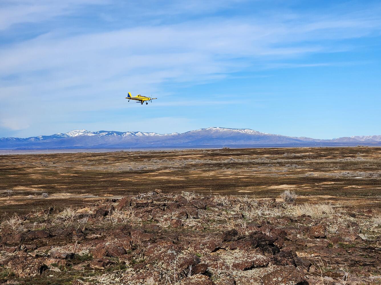 a small yellow plane flies low over a burned landscape, mountains and partly cloudy skies in the background