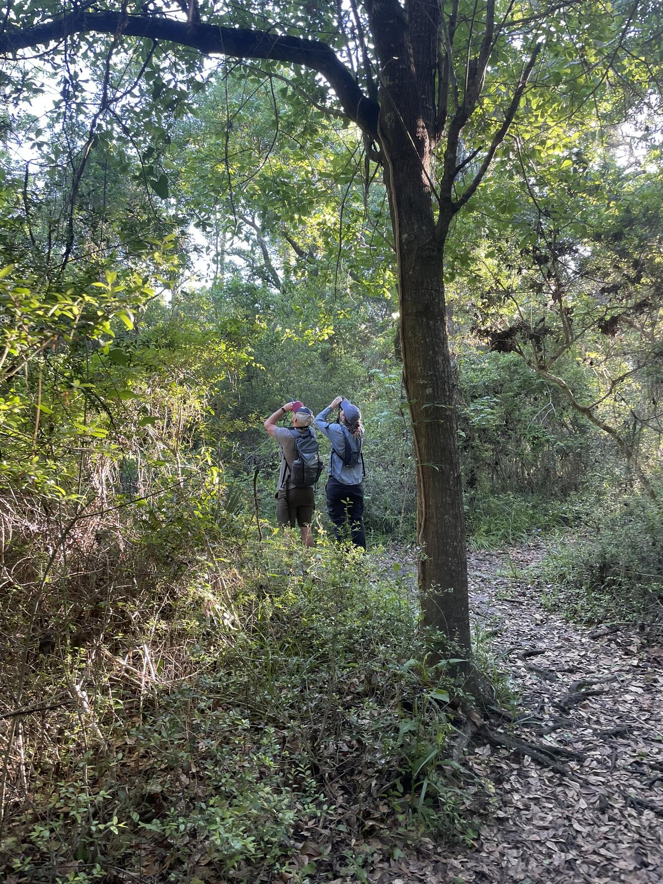 Two students survey birds 