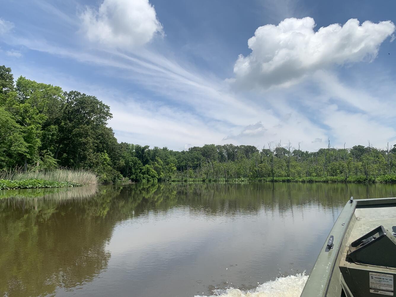 Looking off the bow of a boat downstream at forest on the far bank