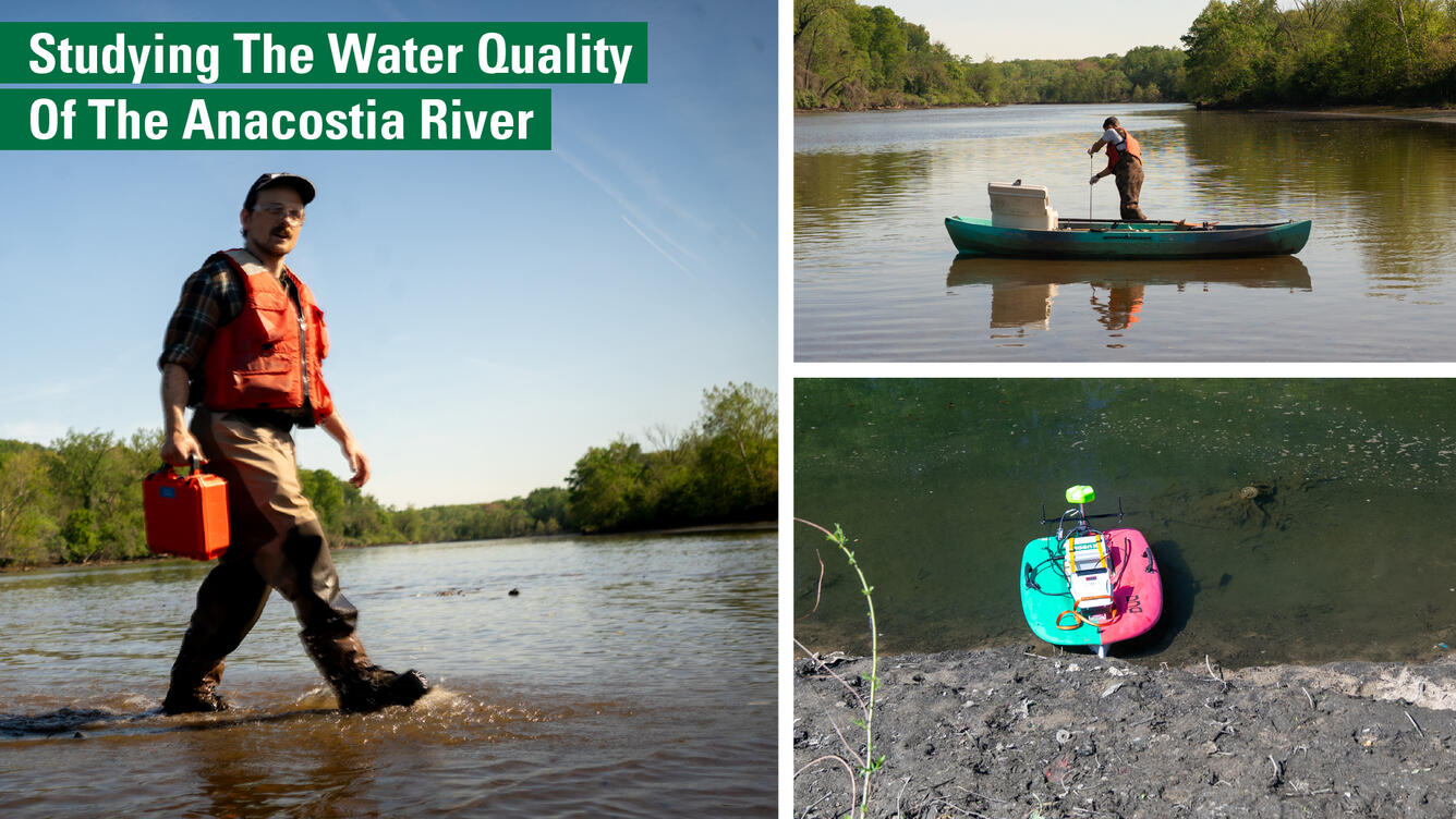 A three-image collage of work Studying the Water Quality of the Anacostia River.
