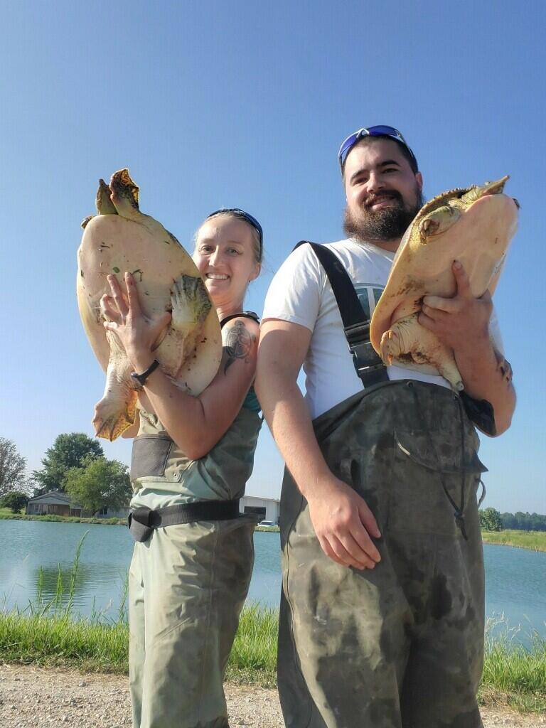 Two researchers holding freshwater turtles