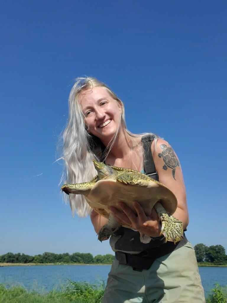 Researcher is holding a freshwater turtle
