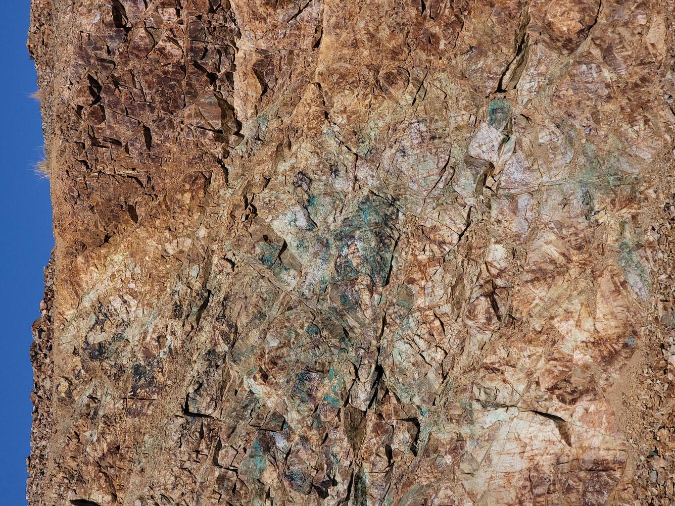 brown rock with green