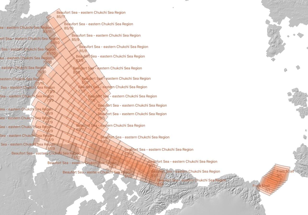 A map of the Arctic