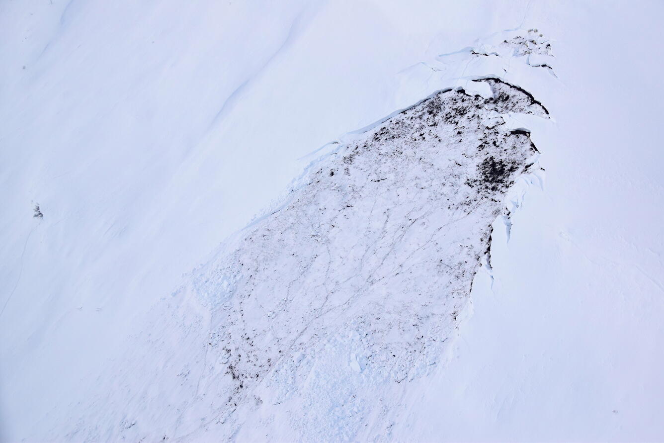 Glide avalanche, Summit Creek, Klukwan, Alaska