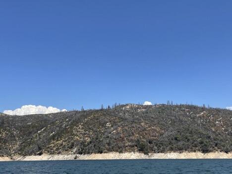 Figure 2: An area burned by the 2020 North Complex on the Middle Fork arm of Lake Oroville, CA.