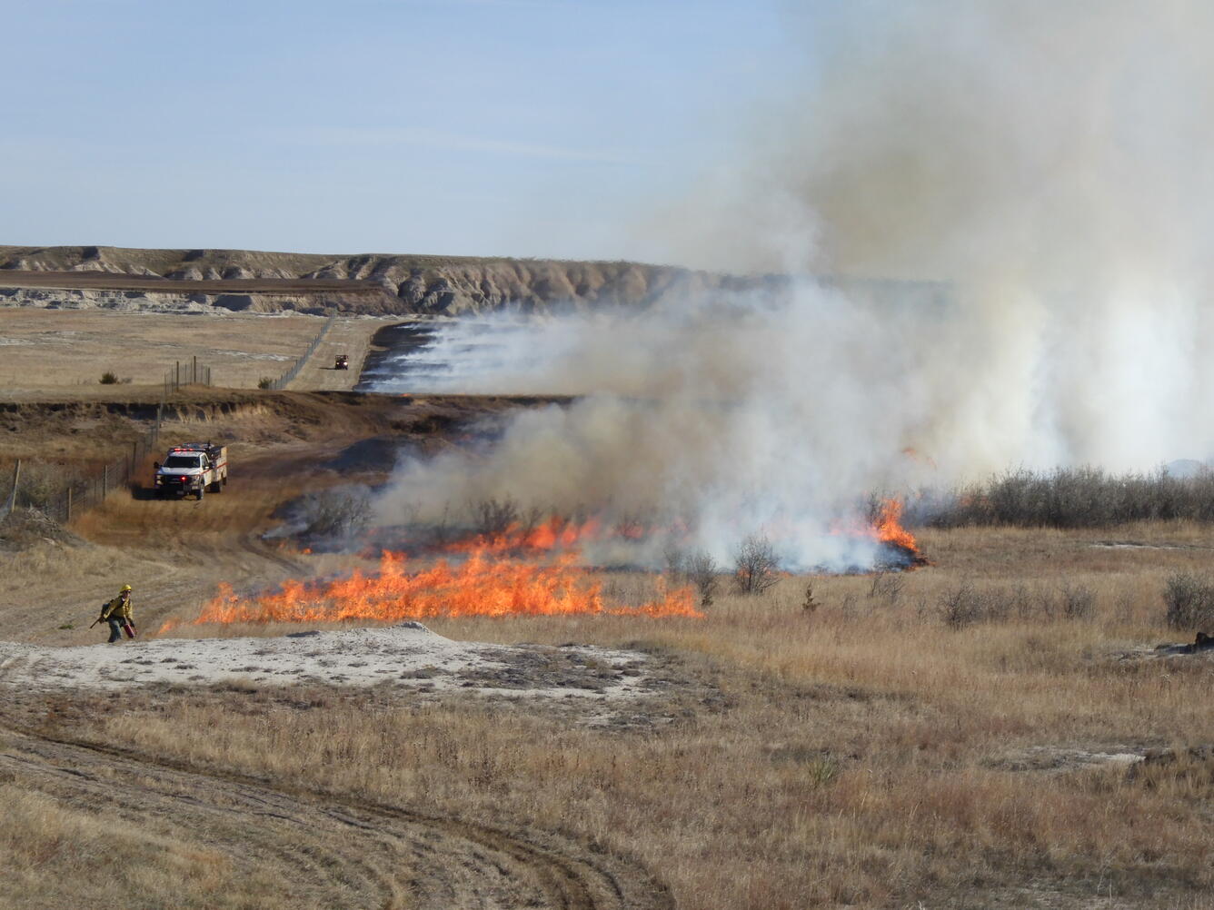 Prescribed burn in prairie