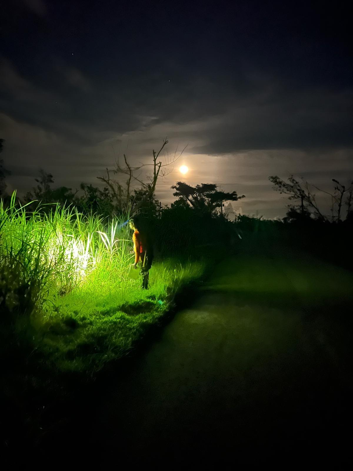 A person looks into bushes with a flash light as the moon shines in the distance
