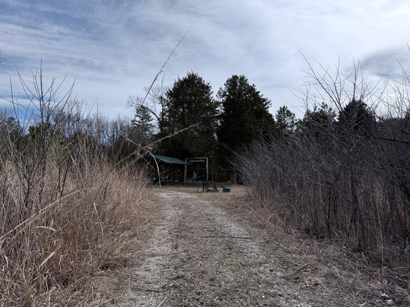 A wide gravel path leads through tall dry grass toward the cemetery picnic area.