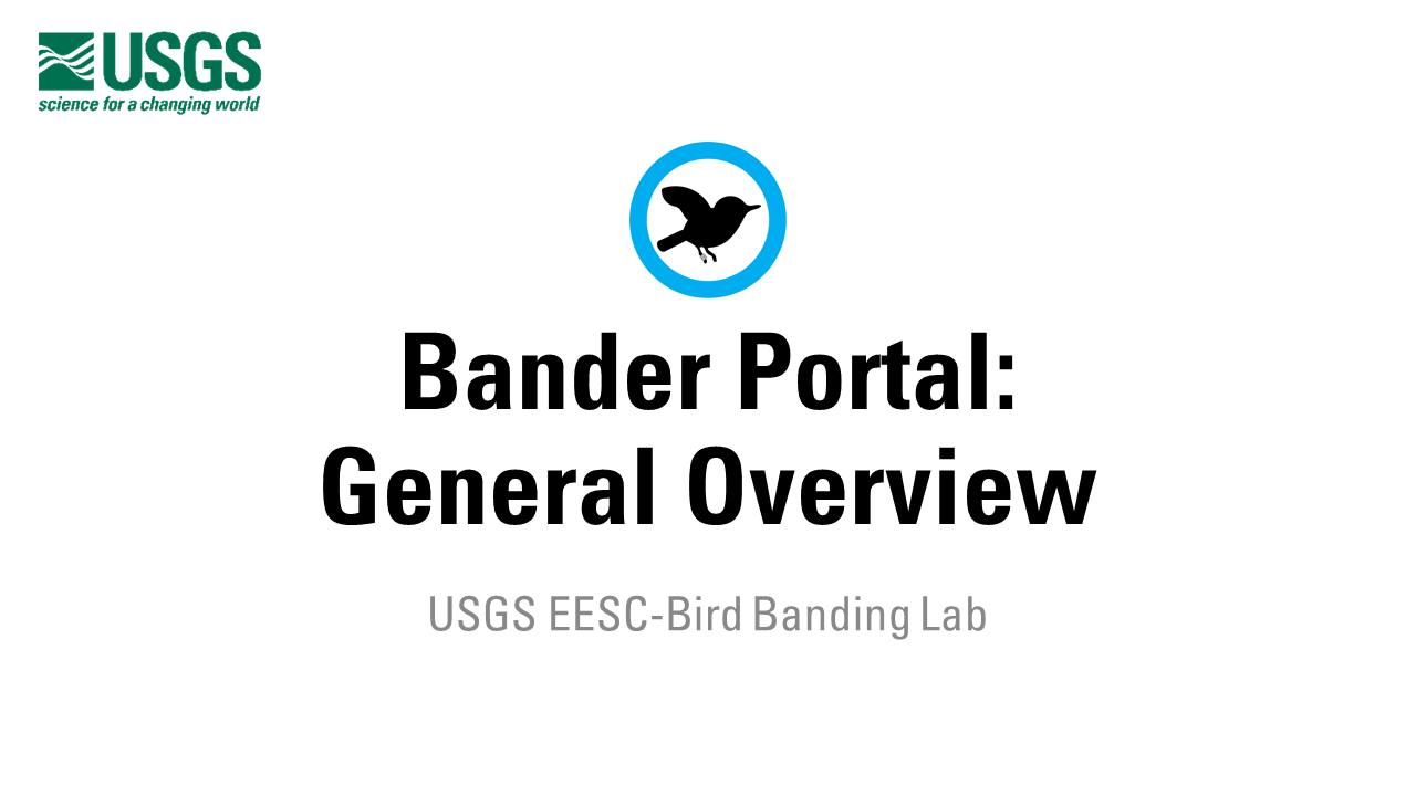 A title slide icon with a silhouette of a banded bird above the title