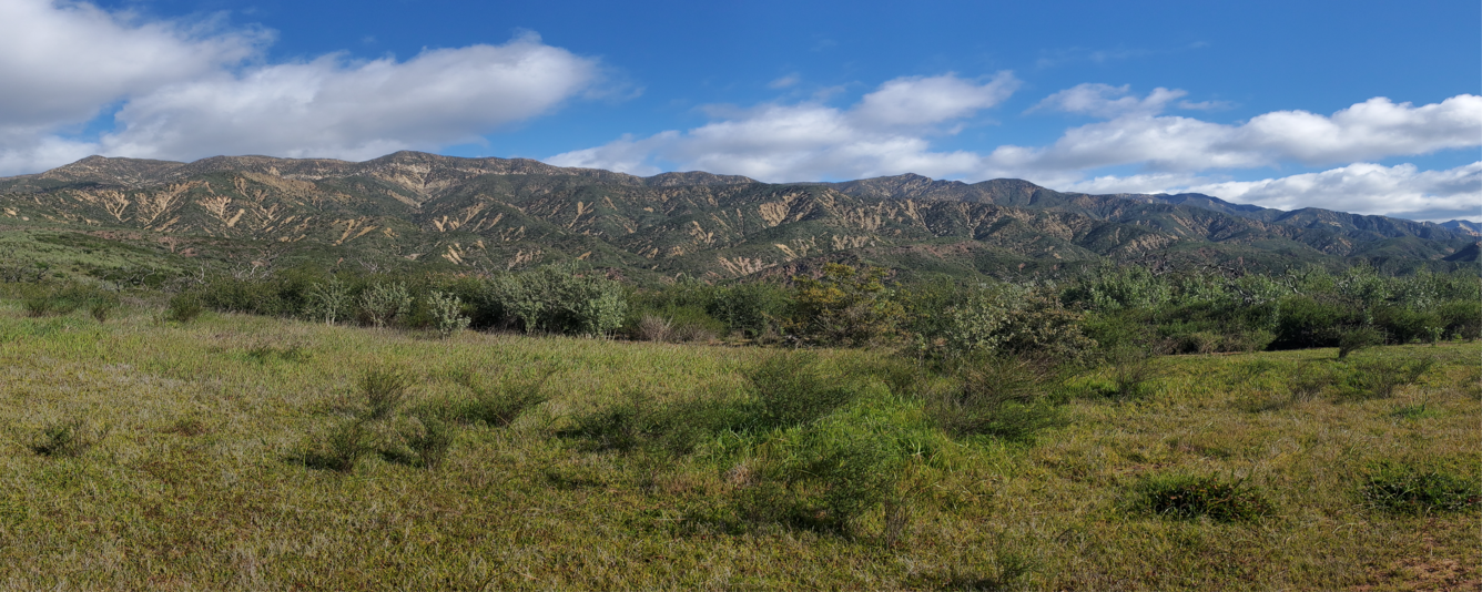 Landscape view of mountains with dirt, shrubs, and grass