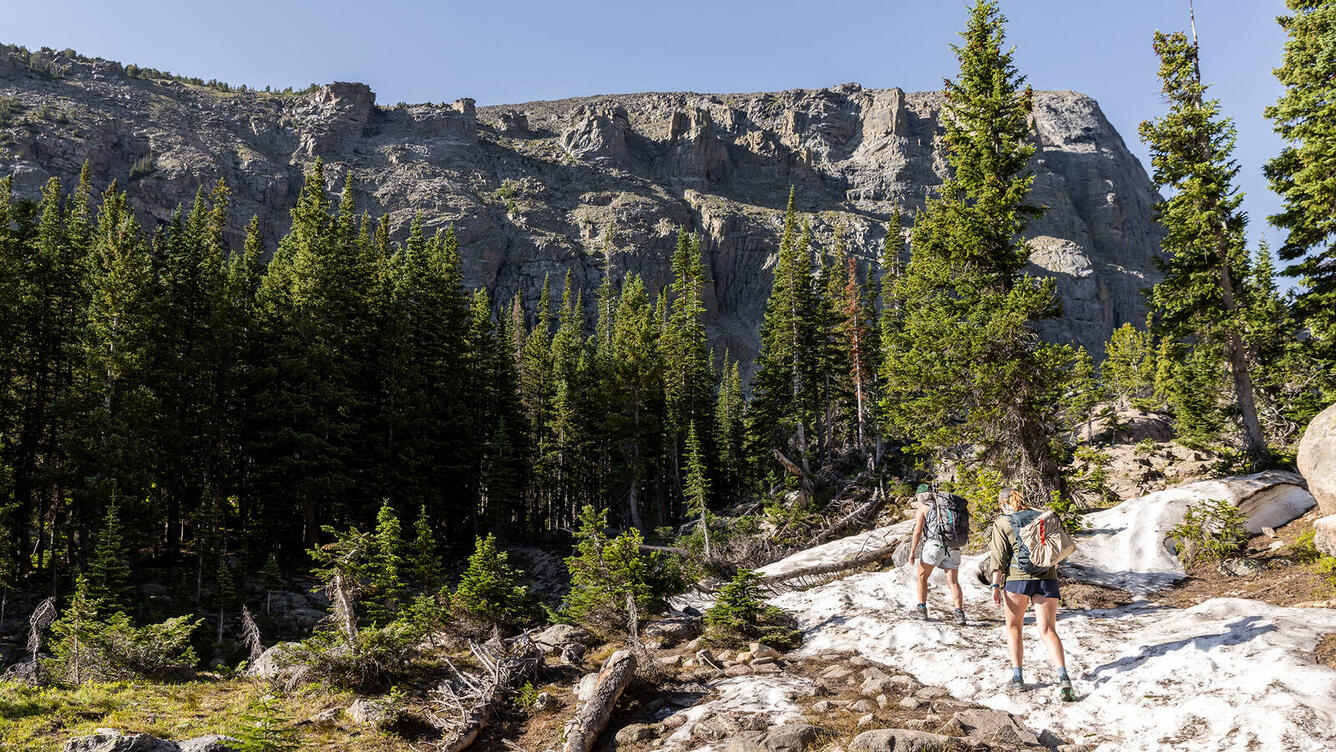 Two hikers walking along rocks. Pine Trees and mountains in background.