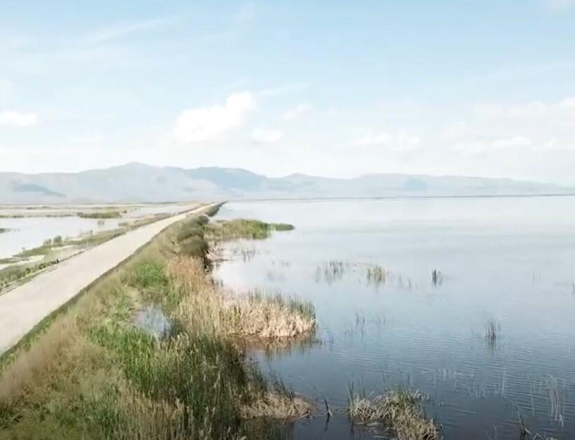 Drone footage looking down at a dirt road lined with marsh vegetation surrounded by water