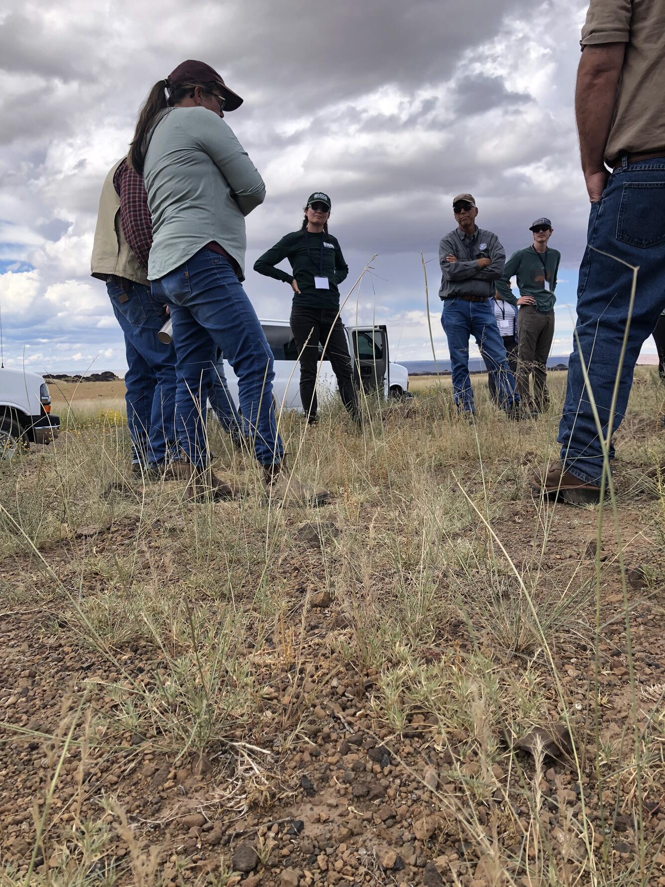 A group of people stand in a grassland