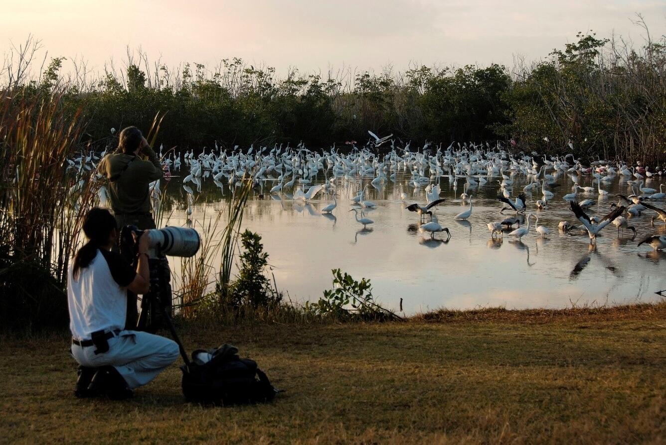 Birding at Mrazek Pond NPS