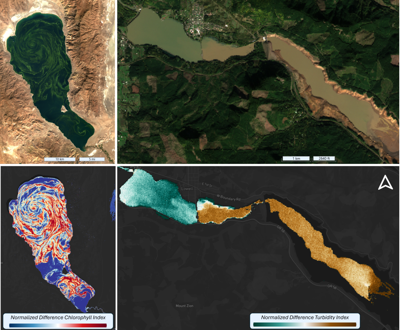remote sensing images of algal bloom and sediment plumes
