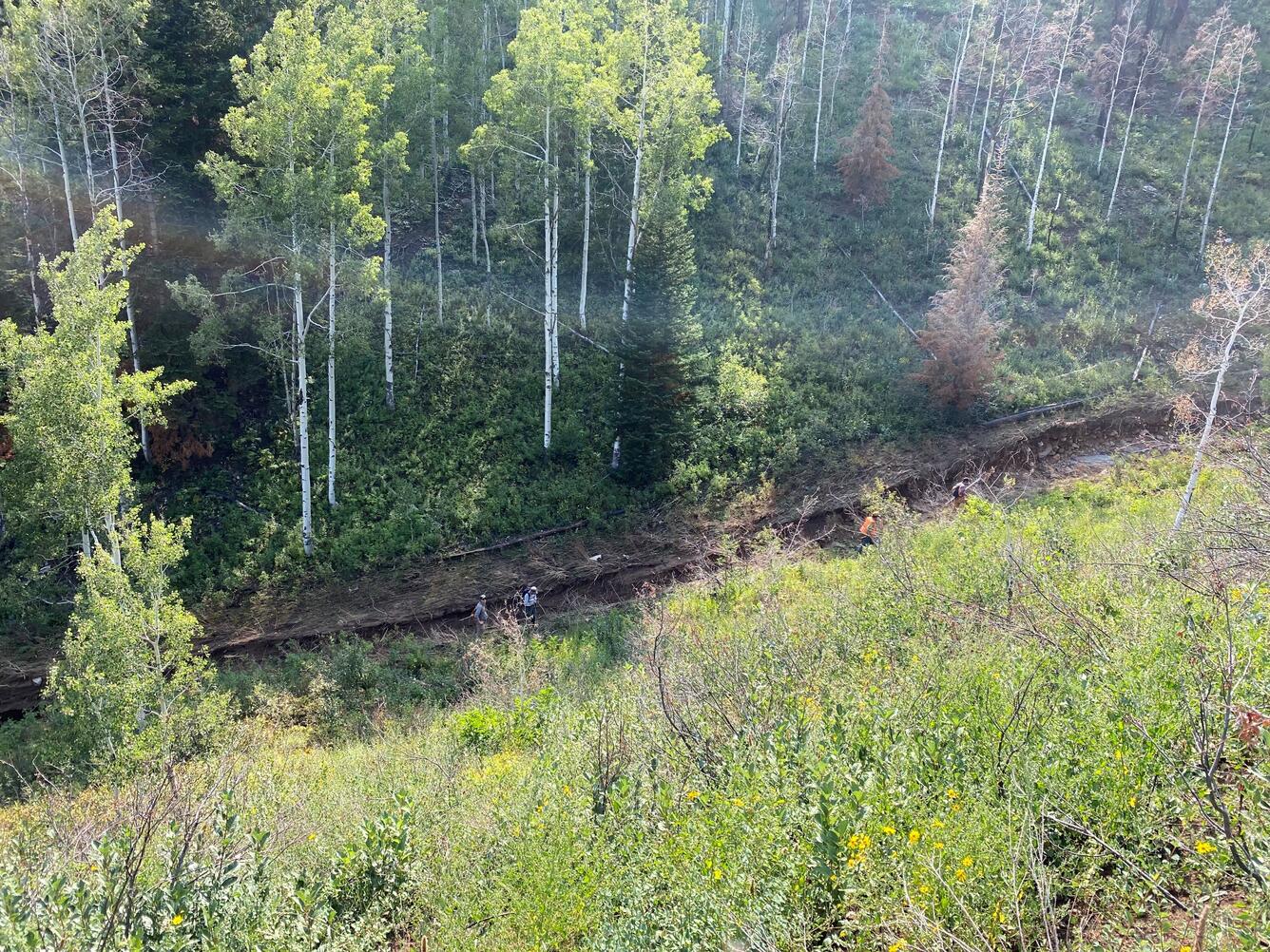 Channel below a grassy hillslope