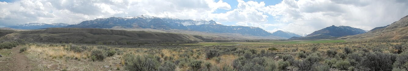 Photo of sagebrush landscape with mountains in the background