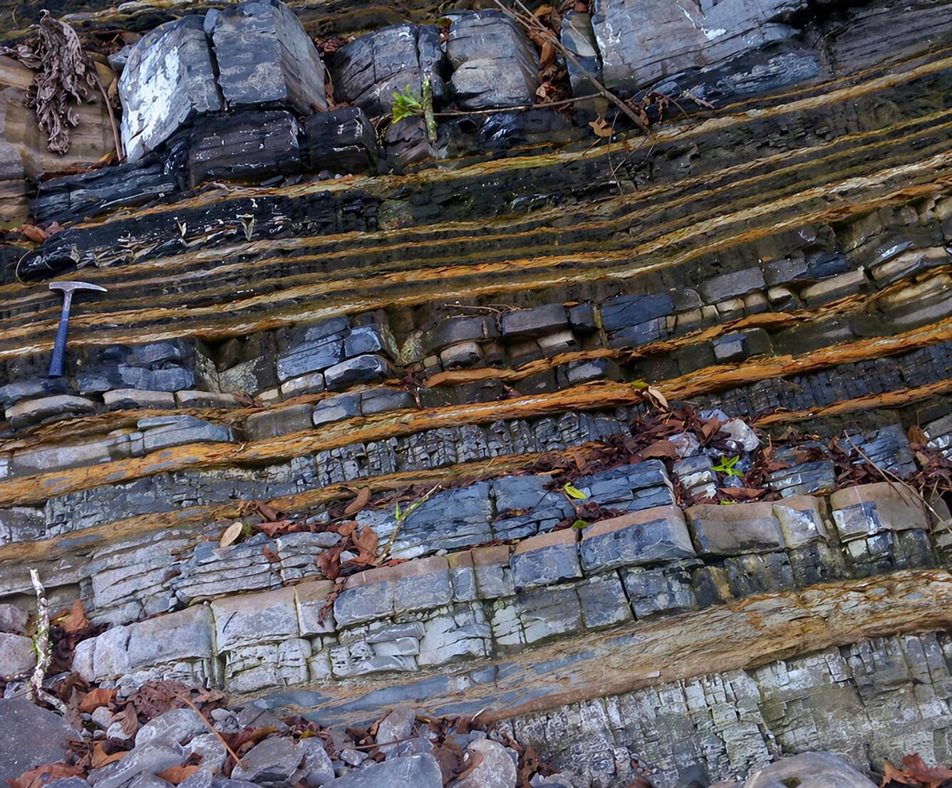 Striated lines of multicolored rocks, with a pick added for scale.  The rocks are an outcrop of the Bossier Formation.