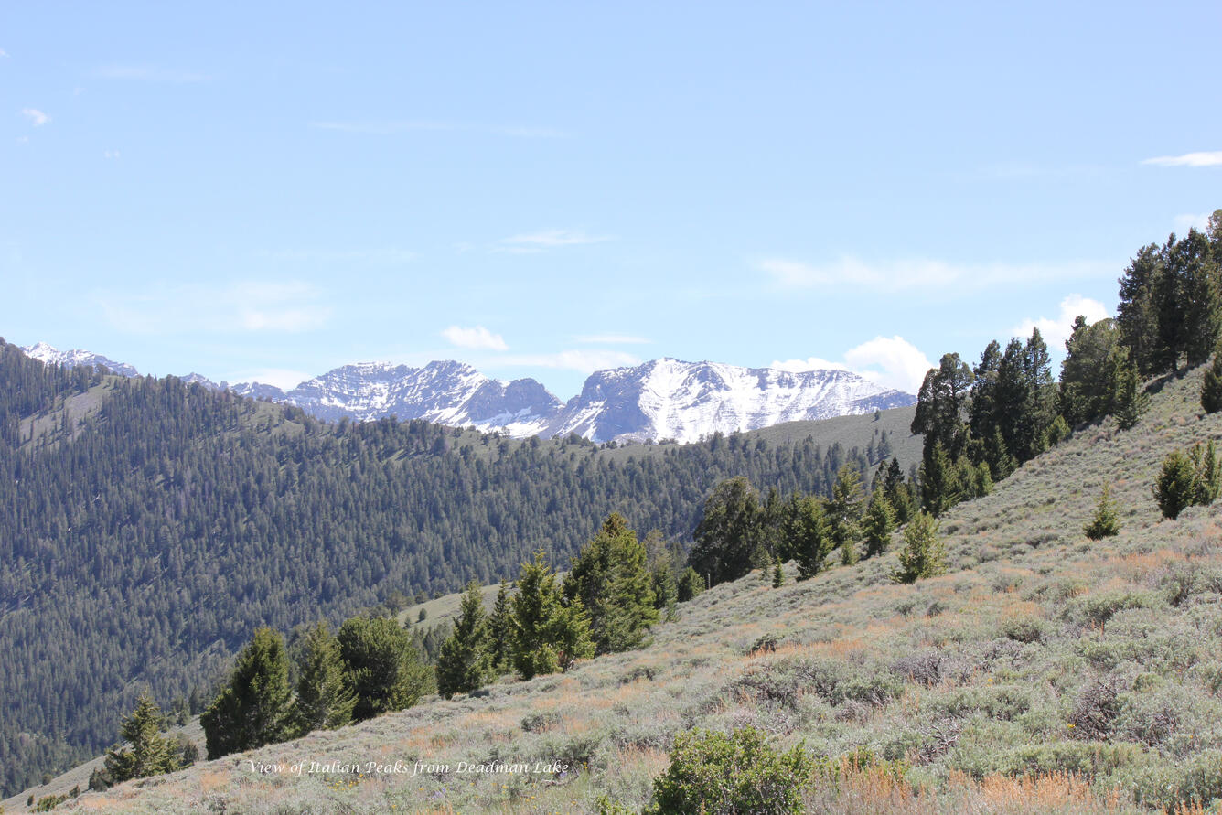 Image shows a mountainous landscape with trees in the foreground