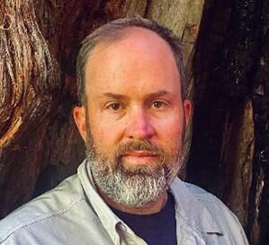 A man with short hair and a beard stands in front of a tree for his picture. 