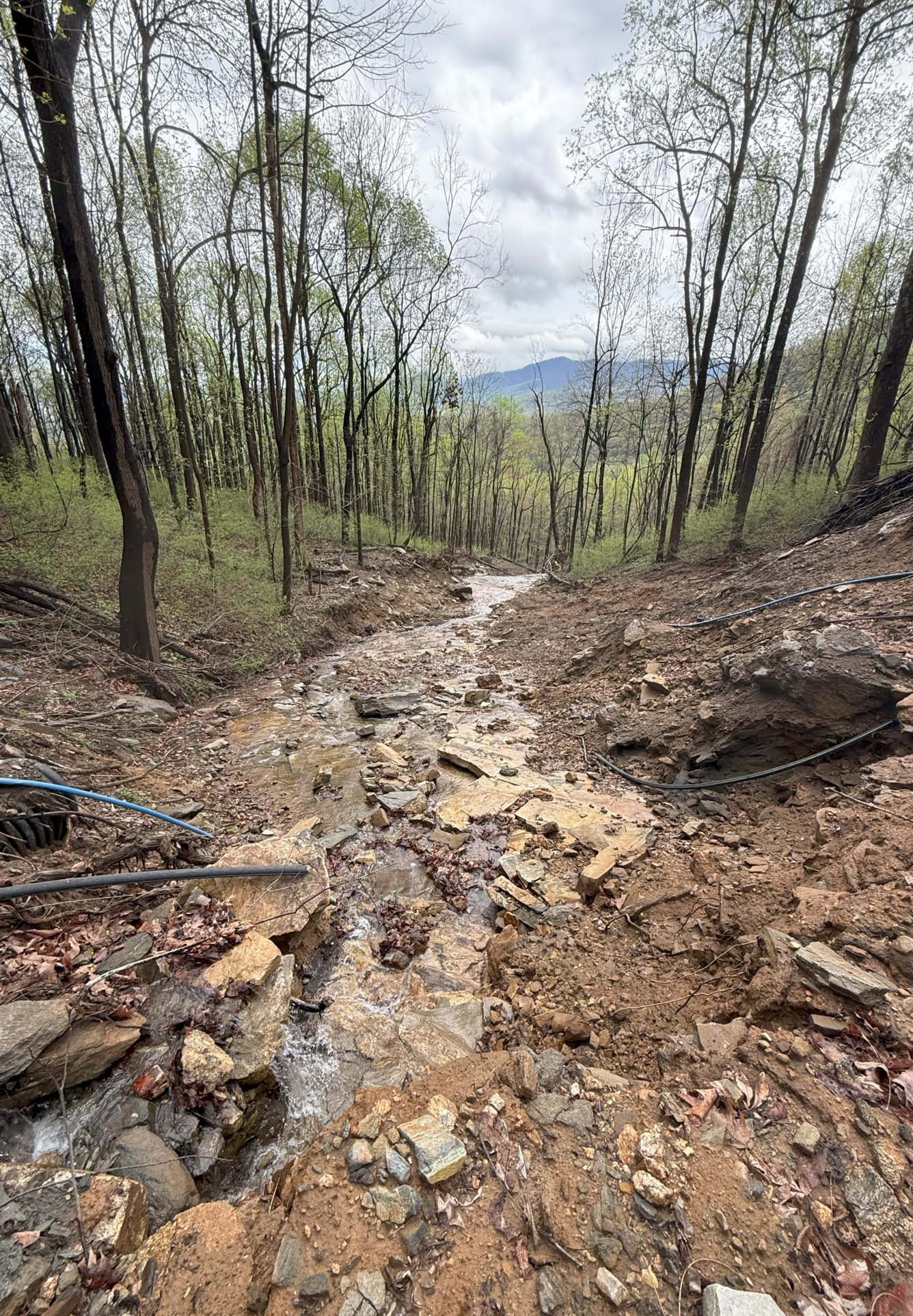looking downslope at mud and rock surrounded by trees