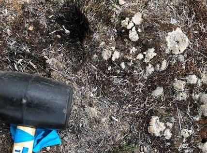 burned soil and biocrust, with a mallet in the corner