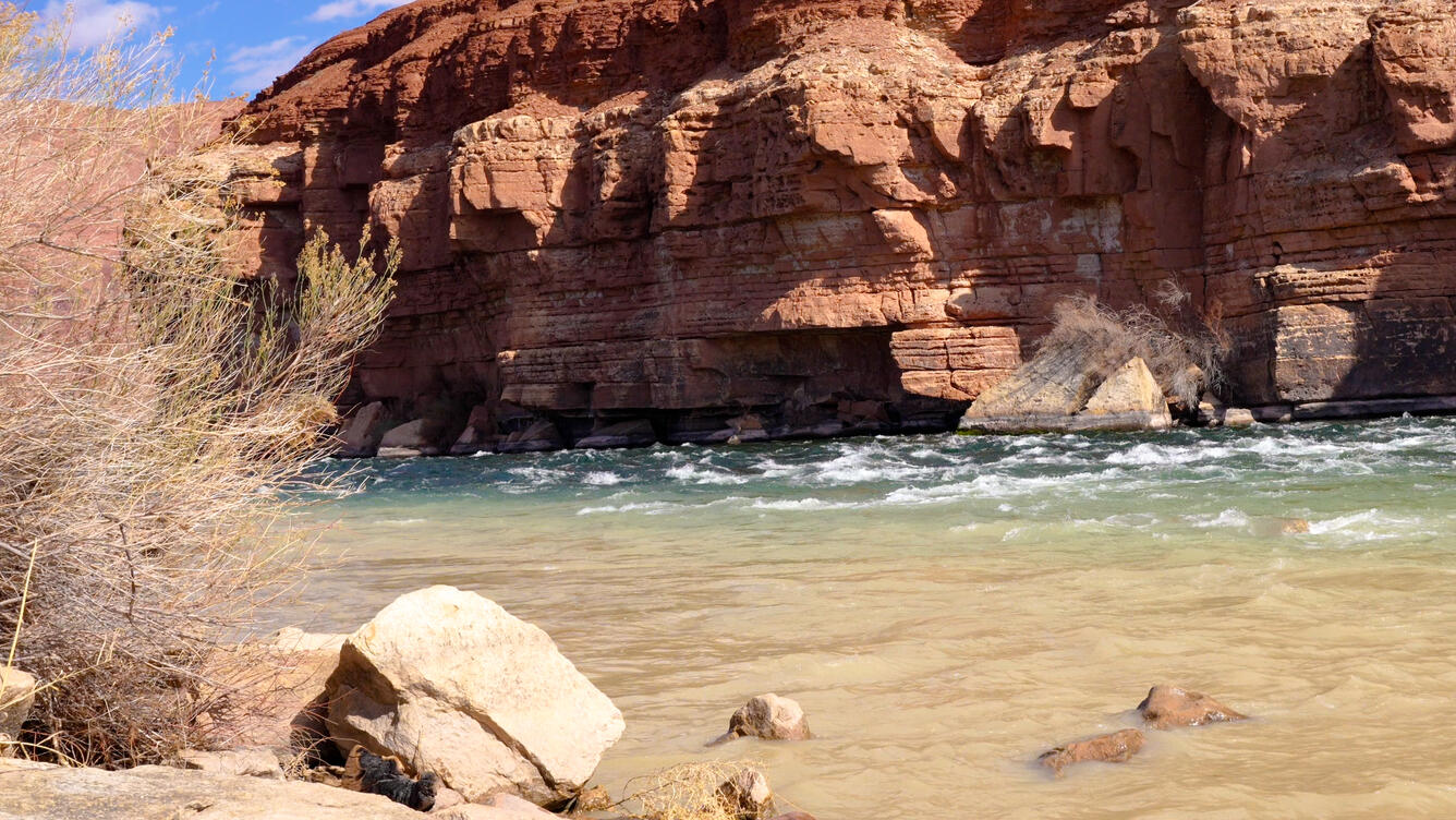 Small rapids froth in a wide, shallow section of river as it bends around sheer, red-rock cliffs.