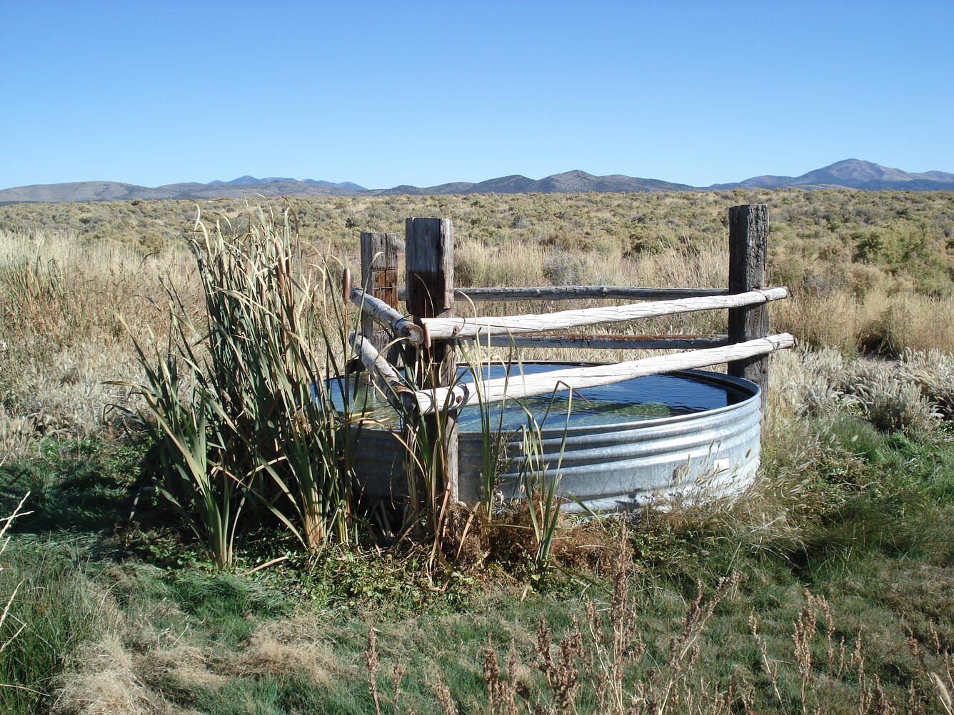 Full water tank is appealing in Rush Valley, western Utah.