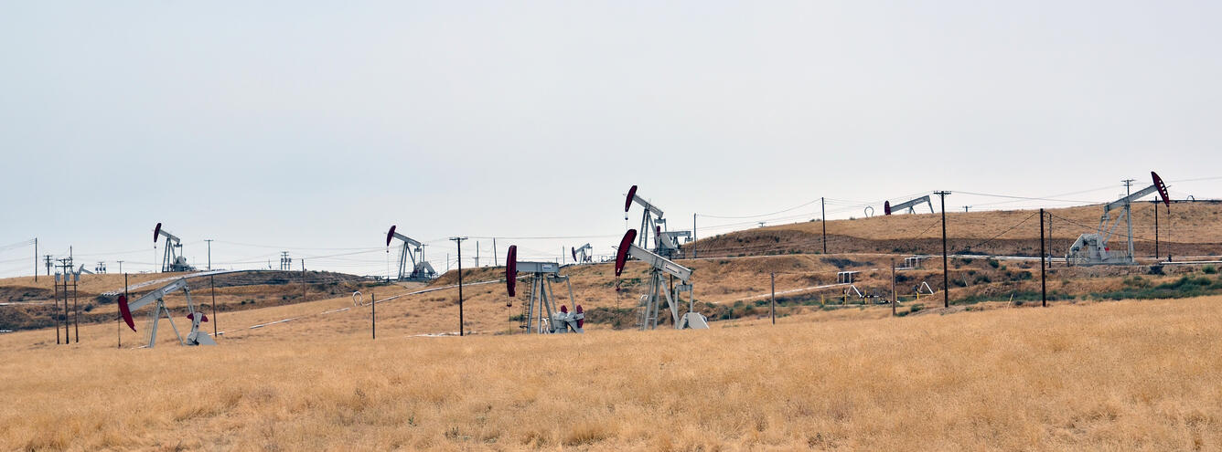Red and white oil pumpjacks and electrical poles and lines cover a hillside of browning grasses and shrubs