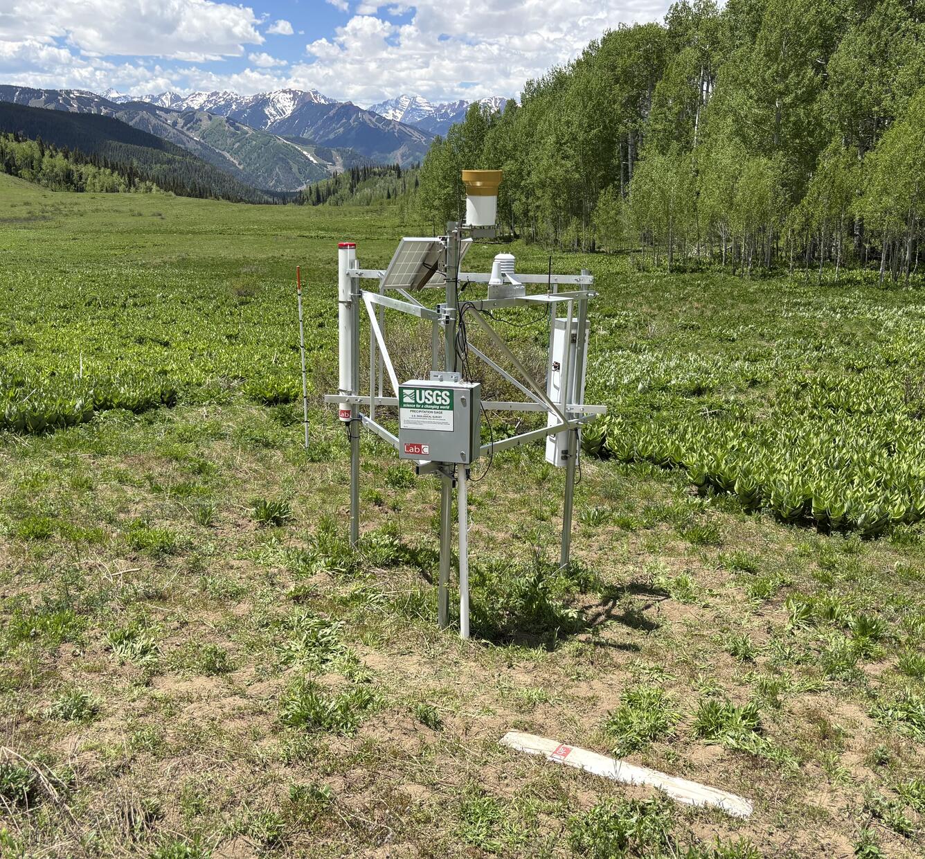 CRNS station in grassy meadow with trees and snow‑capped mountains under cloudy sky.