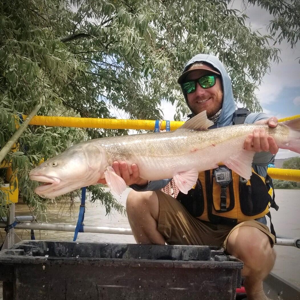 John Caldwell - Profile Image