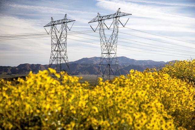 Powerlines with mountains in distance and yellow flowers in foreground