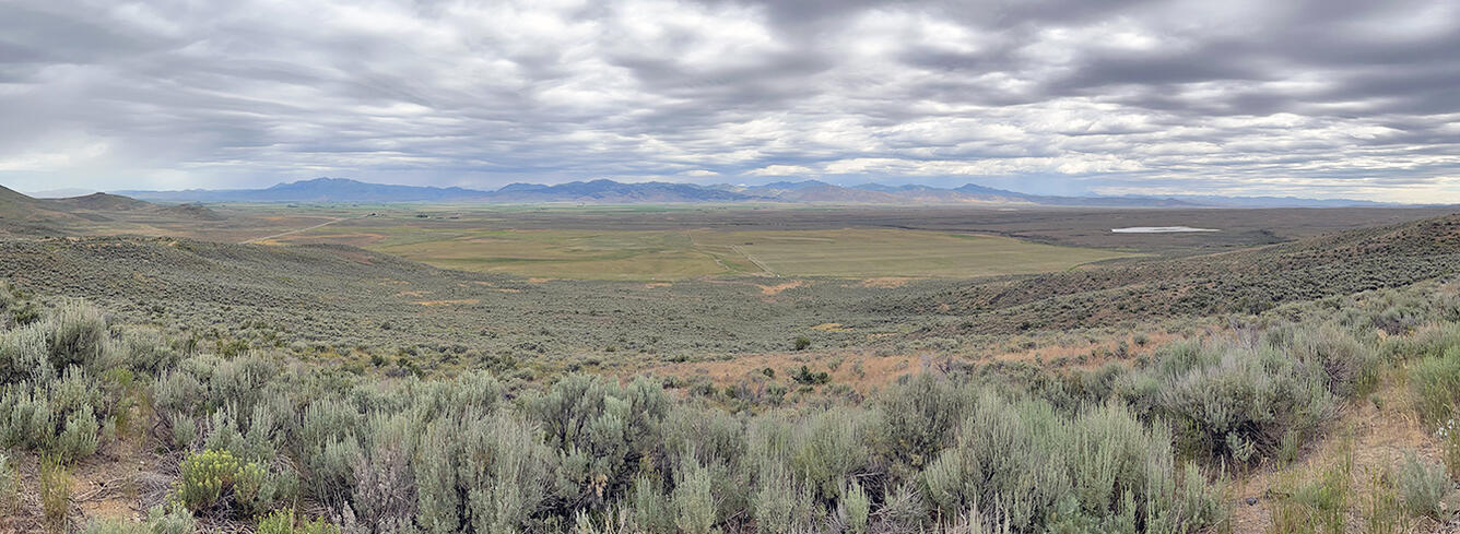 Camas Prairie, southern Idaho
