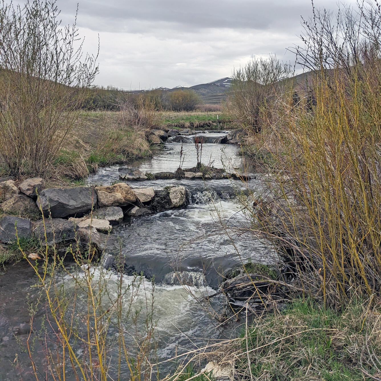 Rock Creek, south-central Idaho