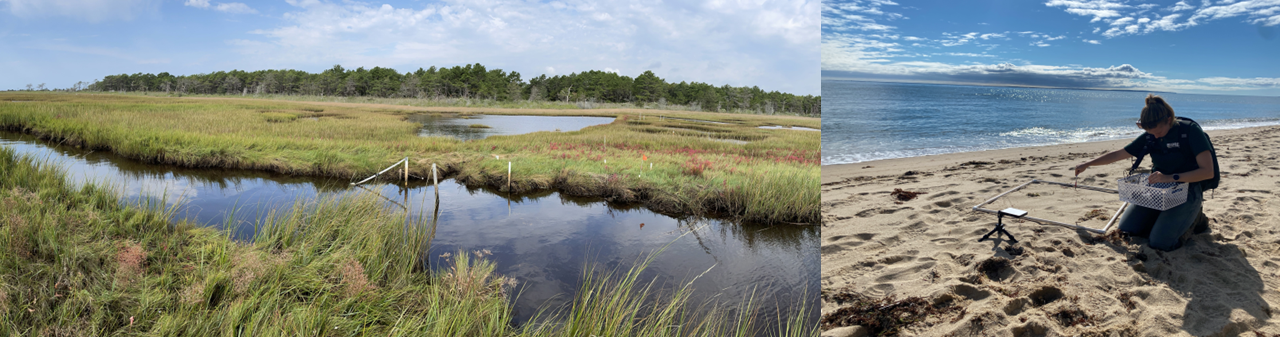 Combined photos of a Cape Cod marsh on the left and a scientist conducting analysis on beach sand.