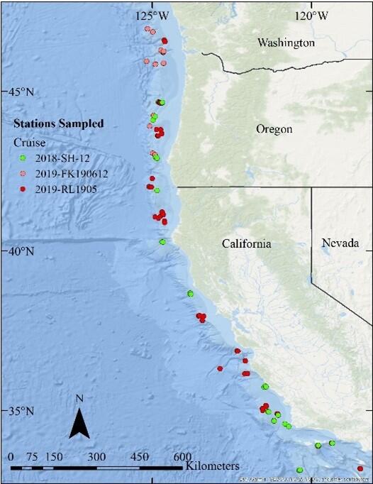 Cascadia Margin study area