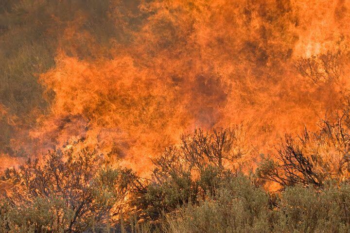 photo of sagebrush on fire