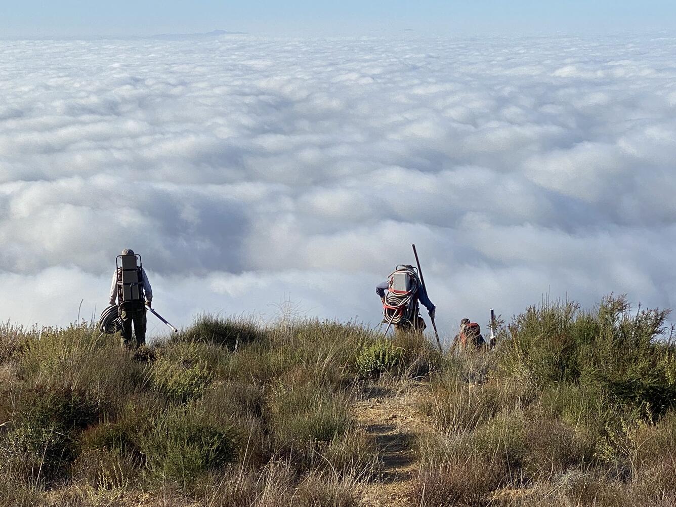3 people walking among shrubs with clouds in background